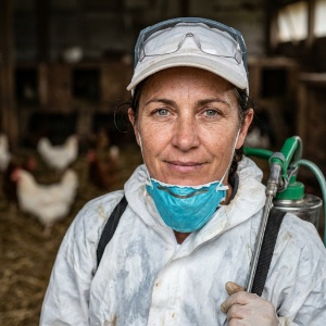 poultry house cleaner
